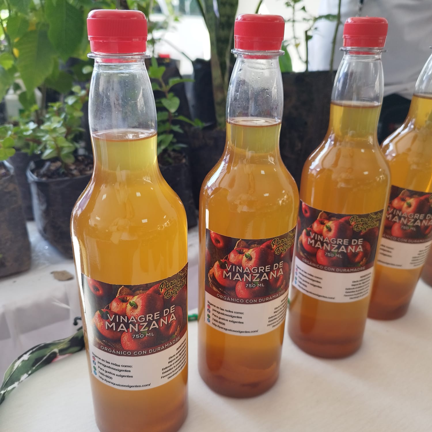 PHOTO-2025-12-05-10-25-22